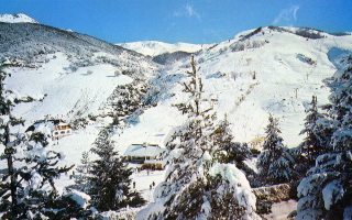 カテドラル山スキー場