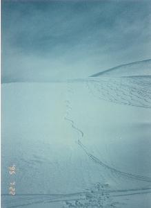 Valle Nevado 2